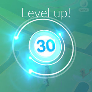 Meet your Posher, Trinidad